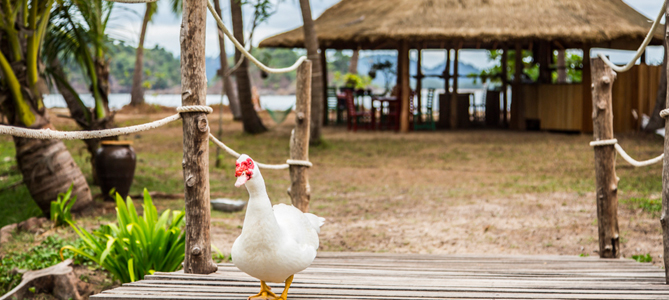 Golden Buddha Beach Resort Outside