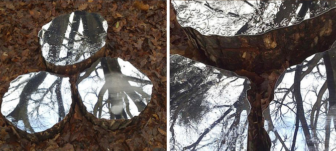 Nature and Mirrors by Lee Borthwick