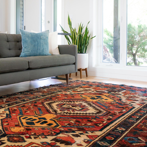 Patterned rug in living room