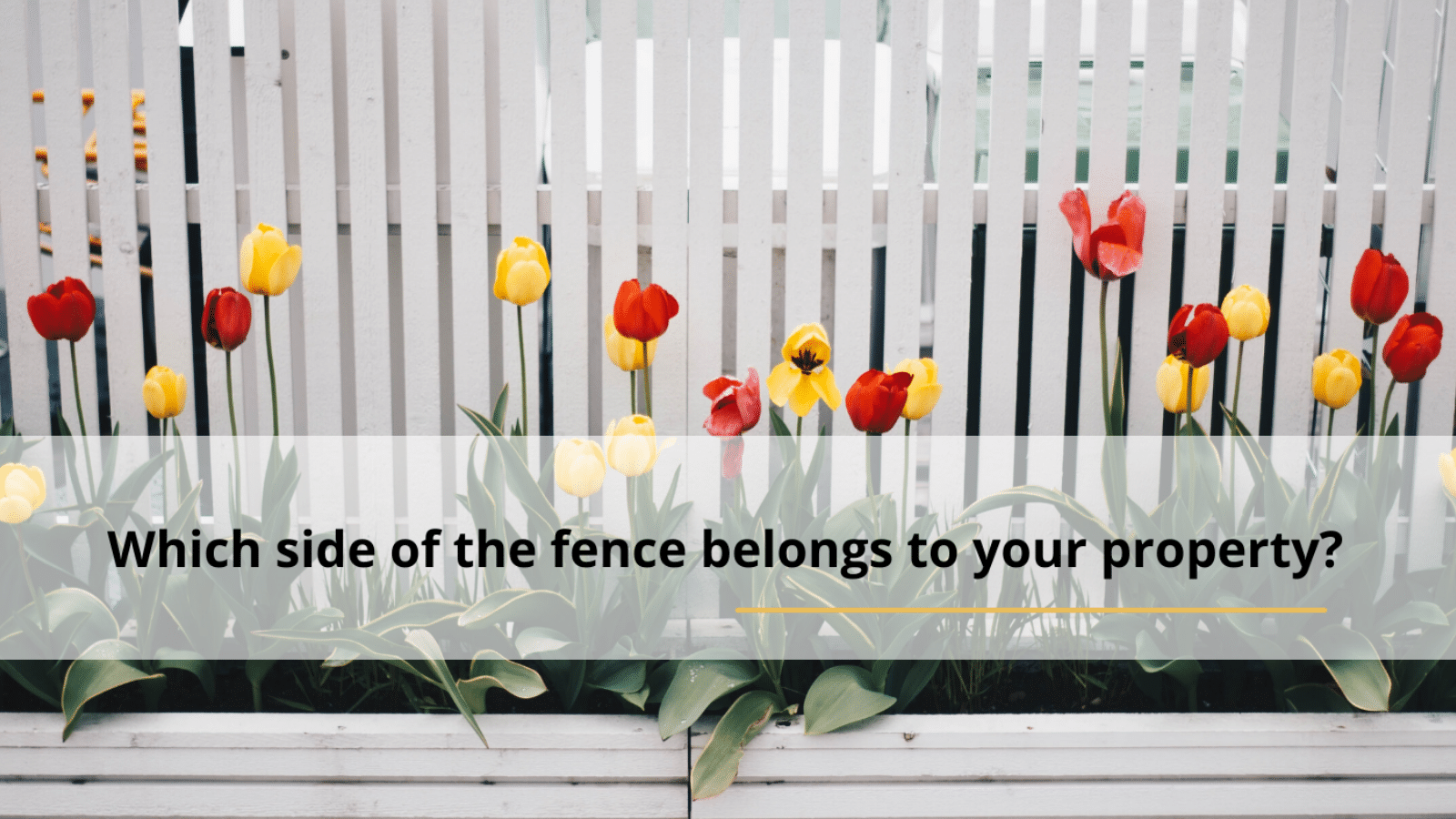 Which side of the fence belongs to your property? Speed Property Buyers