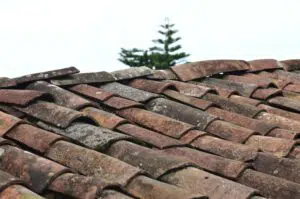 tile roof and a tree