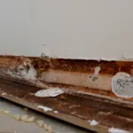 wet timber