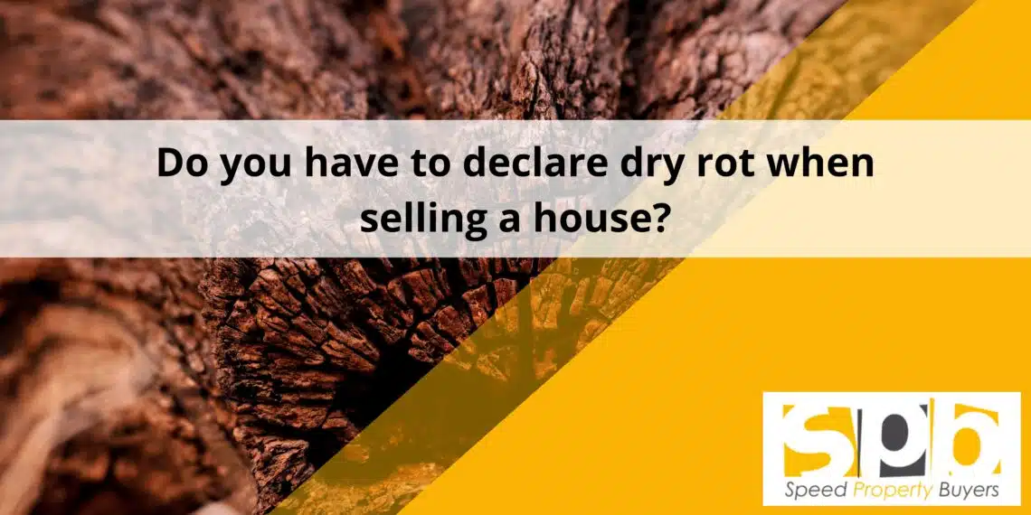 Do you have to declare dry rot when selling a house? Feat. image