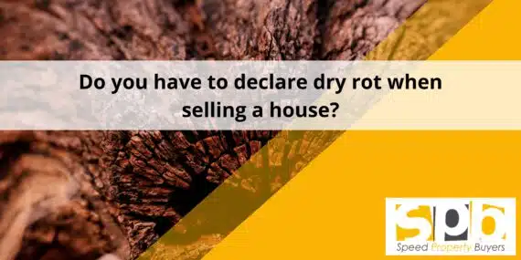 Do you have to declare dry rot when selling a house? Feat. image