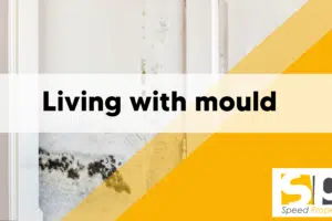 Dealing with damp and mould